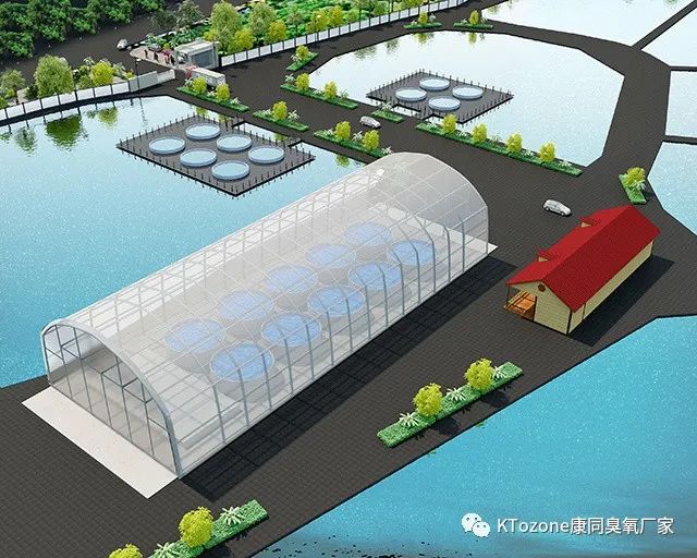 臭氧在水產(chǎn)養(yǎng)殖中的應(yīng)用